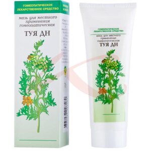 Изображение Туя дн мазь для местного применения гомеопатическая 70г Туя дн мазь для местного применения гомеопатическая 70г. Фото