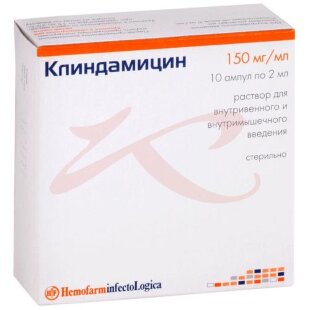 Клиндамицин раствор для внутривенного и внутримышечного введения 150мг/мл 2мл №10. Фото