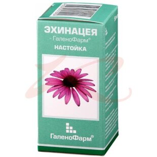 Эхинацея настойка 50мл. Фото