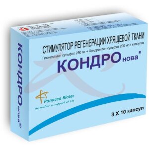 Кондронова капсулы 250мг + 200мг №30. Фото