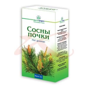 Сосны почки почки цельные 50г. Фото