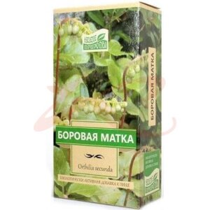 Изображение Наследие природы боровая матка 30г. (бад) чайн.напиток /камелия/ Наследие природы боровая матка 30г. (бад) чайн.напиток /камелия/. Фото