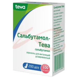 Сальбутамол-тева аэрозоль для ингаляций дозированный 100мкг/доза 200доз. Фото