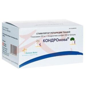 Кондронова капсулы 250мг + 200мг №120. Фото