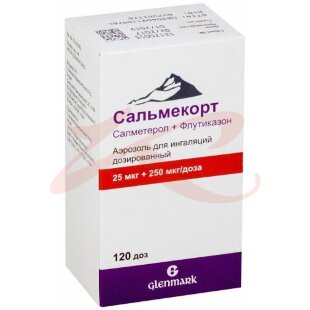 Сальмекорт аэрозоль для ингаляций дозированный 25мкг + 250мкг/доза 120доз. Фото