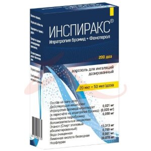 Инспиракс аэрозоль для ингаляций дозированный 20мкг + 50мкг/доза 200доз. Фото