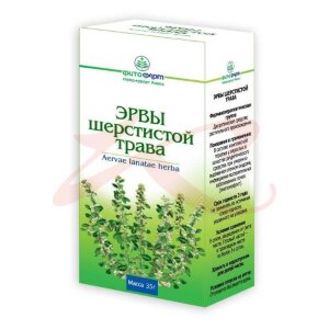 Эрвы шерстистой  трава измельченная 35г /пол-палы/. Фото