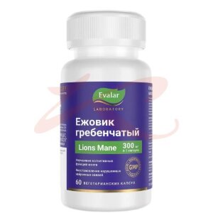 Изображение Эвалар ежовик гребенчатый капсулы 300мг 500мг №60 Эвалар ежовик гребенчатый капсулы 300мг 500мг №60. Фото