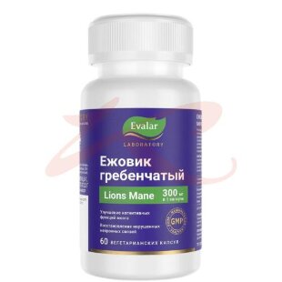 Эвалар ежовик гребенчатый капсулы 300мг 500мг №60. Фото