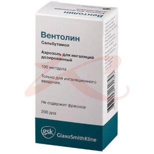 Вентолин аэрозоль для ингаляций дозированный 100мкг/доза 200доз №1. Фото