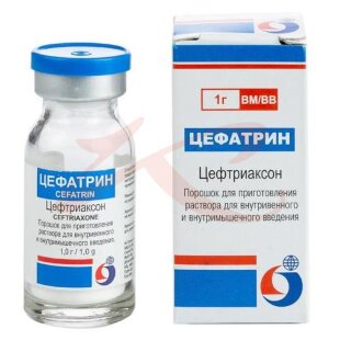 Цефатрин порошок для приготовления раствора для внутривенного и внутримышечного введения 1000мг №5. Фото