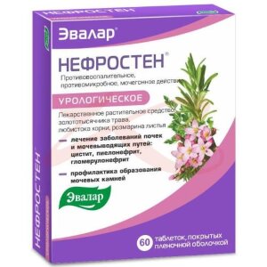 Изображение Нефростен таблетки покрытые пленочной оболочкой №60 Нефростен таблетки покрытые пленочной оболочкой №60. Фото