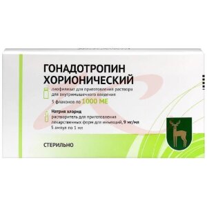 Гонадотропин хорионический лиофилизат для приготовления раствора для внутримышечного введения 1000ме №5 в комплекте с растворителем: натрия хлорида раствор 0.9% (ампулы) 1 мл-5 шт.. Фото