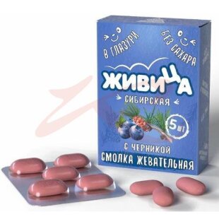 Живица сибирская смолка жевательная 0,8г №5 с черникой в глазури б/сах. Фото