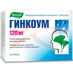 Изображение Гинкоум капсулы 120мг №30 Гинкоум капсулы 120мг №30. Фото