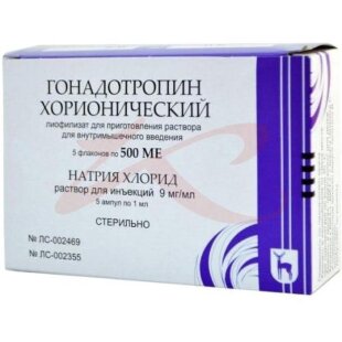 Гонадотропин хорионический лиофилизат для приготовления раствора для внутримышечного введения 500ме №5 в комплекте с растворителем: натрия хлорида раствор 0.9% (ампулы) 1 мл-5 шт.. Фото
