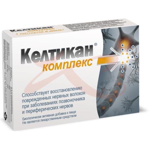Келтикан комплекс капсулы №40 купить в Воронеже | интернет-аптека Картинки